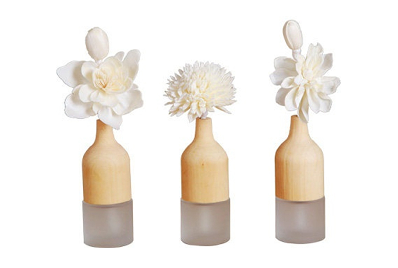 Frosted Glass Wood Flower Aromatherapy Diffuser Set