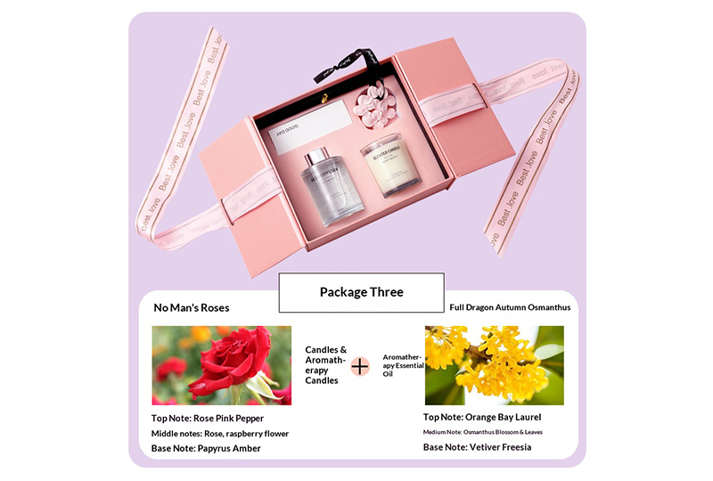 Blush Pink Double-Door Candle & Diffuser Candle Set