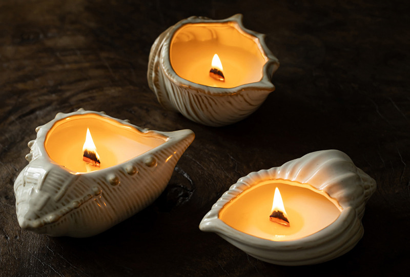 Ceramic Seashell Trio Tealight Candle Holder