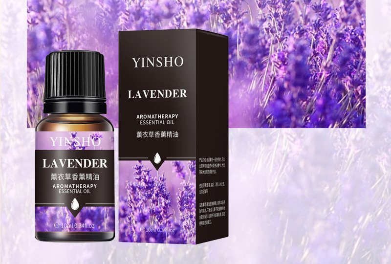 Multi-Scent Aromatherapy Essential Oil Set — 10ml Bottles