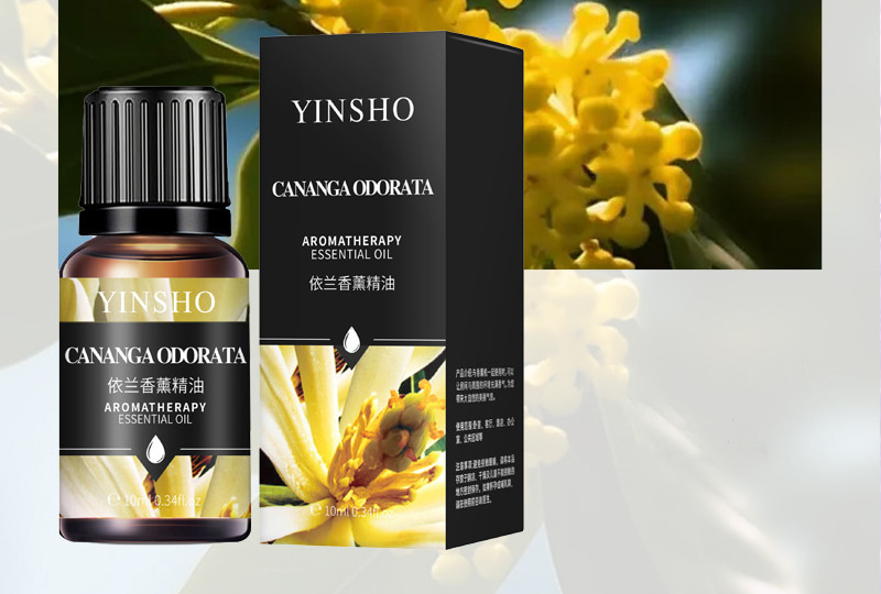 Multi-Scent Aromatherapy Essential Oil Set — 10ml Bottles
