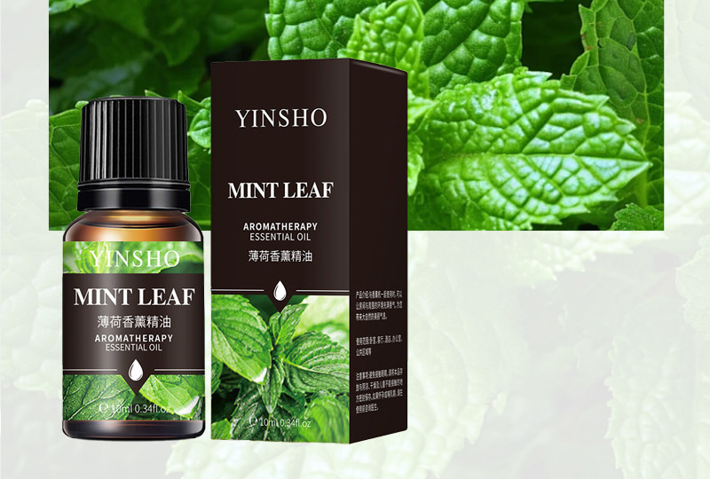 Multi-Scent Aromatherapy Essential Oil Set — 10ml Bottles