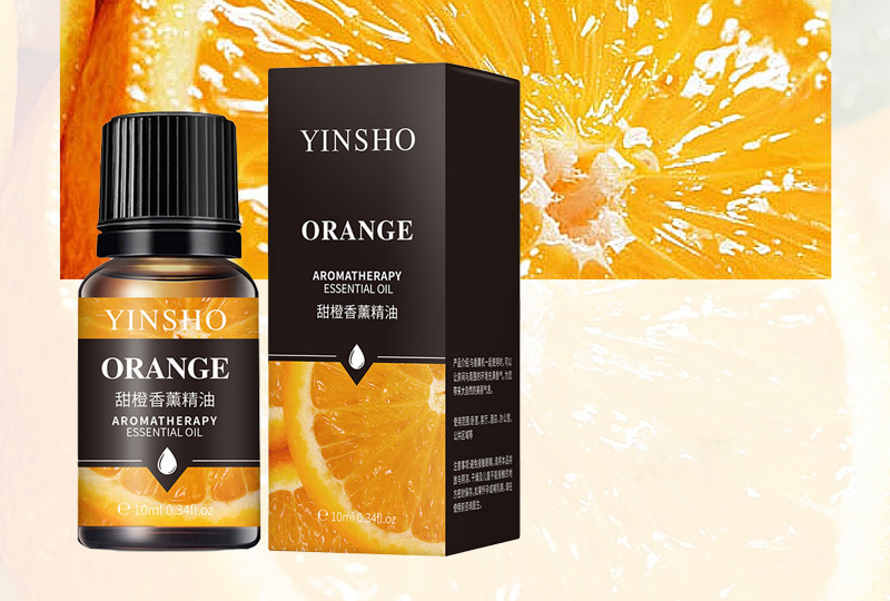 Multi-Scent Aromatherapy Essential Oil Set — 10ml Bottles