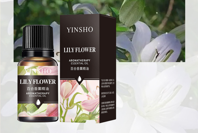 Multi-Scent Aromatherapy Essential Oil Set — 10ml Bottles