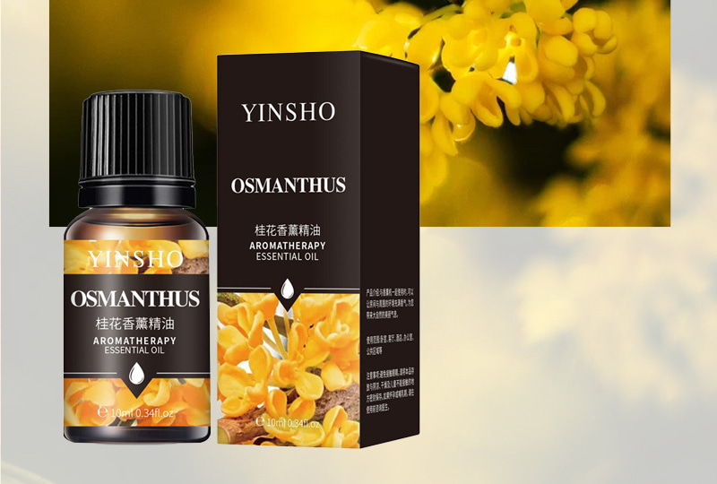 Multi-Scent Aromatherapy Essential Oil Set — 10ml Bottles