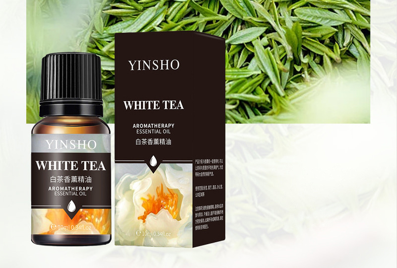Multi-Scent Aromatherapy Essential Oil Set — 10ml Bottles